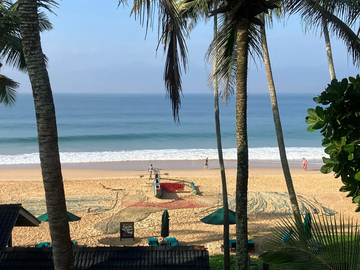 Indian Ocean view from Suite Lanka through coastal palms