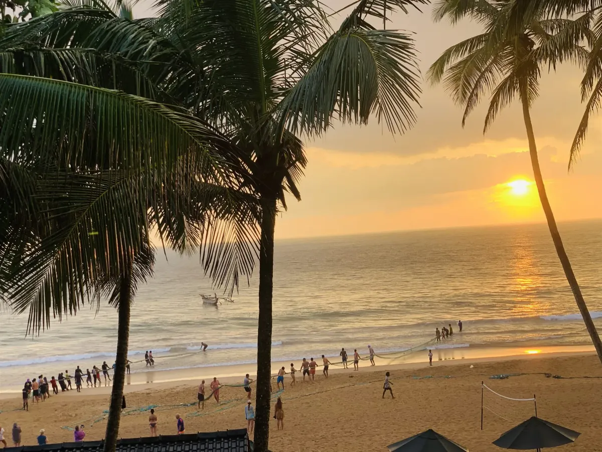 Sunset over Narigama Beach through tropical palms